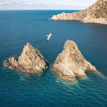 Appartement Pied Dans L'Eau La Seyne-sur-Mer Luaran gambar
