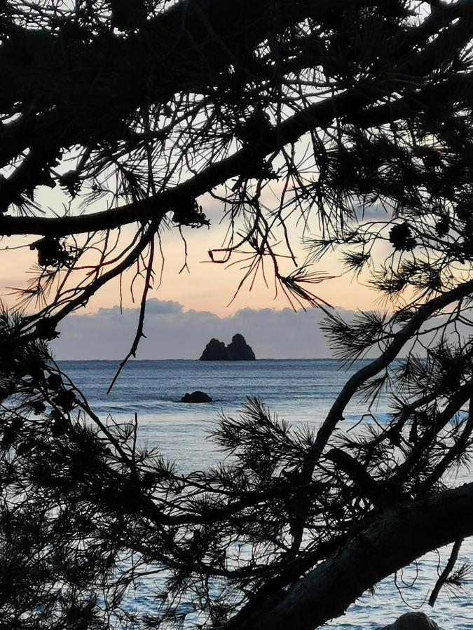 Appartement Pied Dans L'Eau La Seyne-sur-Mer Luaran gambar