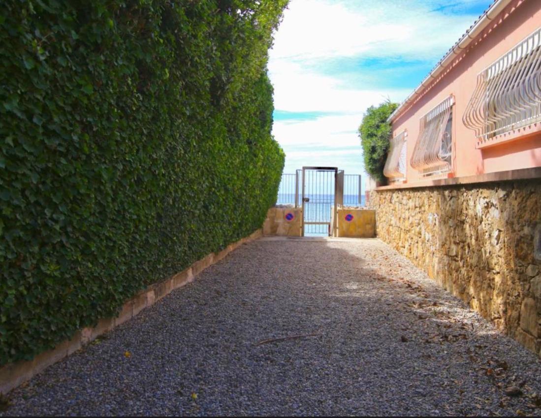 Appartement Pied Dans L'Eau La Seyne-sur-Mer Luaran gambar